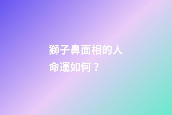 獅子鼻面相的人命運如何？